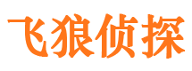 朔城寻人公司